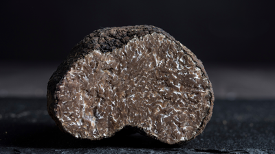 Truffle: What is Italy's Culinary Treasure