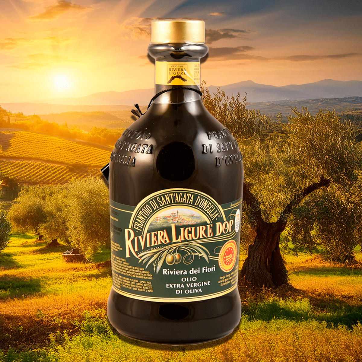Riviera Ligure DOP Extra virgin olive oil – Dolceterra Italian