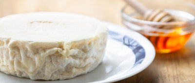 ITALY'S GREATEST CHEESES