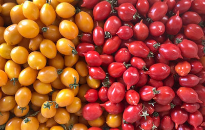Original San Marzano Tomatoes