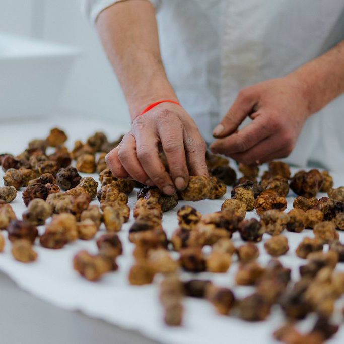 Cristaux de Sel à la Truffe : Cristaux de Sel Gourmands infusés à la Truffe