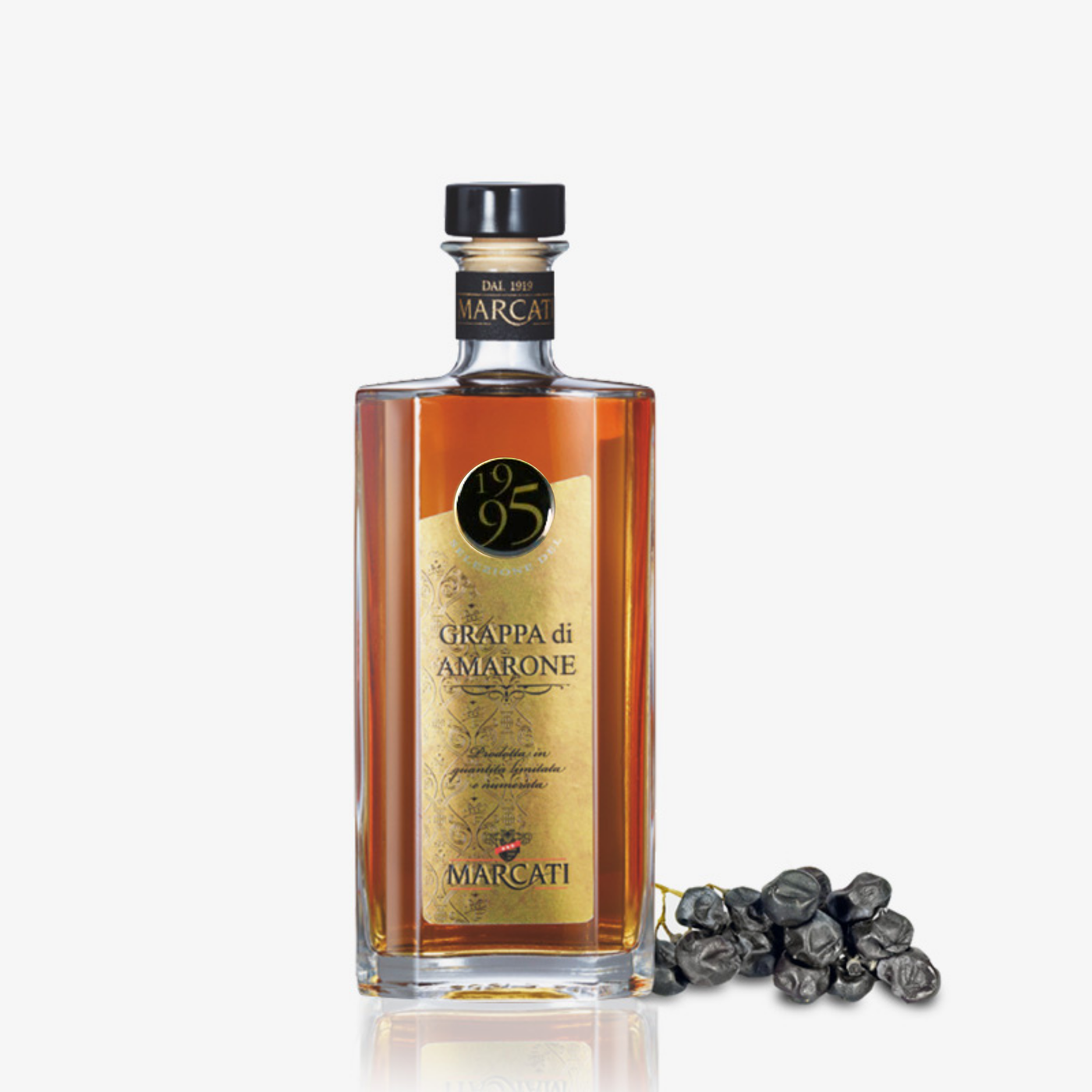 Grappa di Amarone Reserve 1995