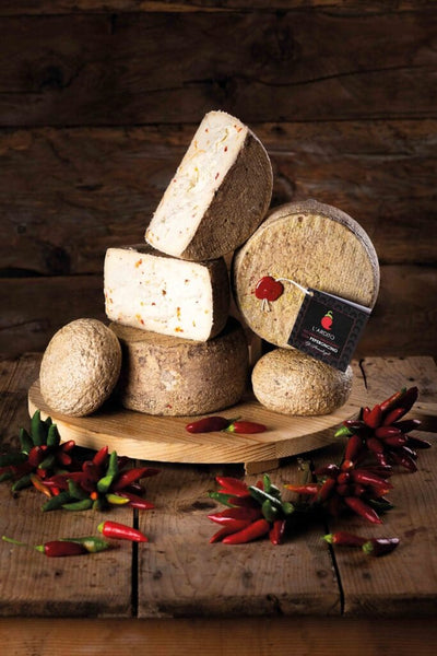 ardito-aging-tuscan-pecorino-dop-jpg