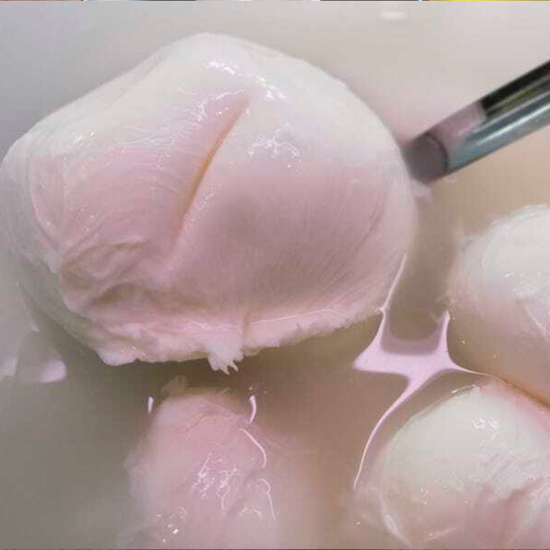 Mozzarella di Bufala Campana – Fromage Italien Frais et Authentique