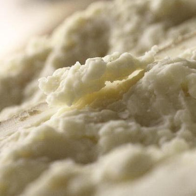 Aging Tuscan Pecorino Cheese in a cave