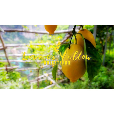 Gift Box Limoncello Dolceterra & Fresh Amalfi Coast Lemon - Fine Food Gifts | Italian Gift Baskets – Dolceterra Italian Within US Store‎