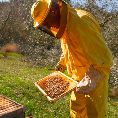 Miele di Acacia biologico - Organic Acacia Honey