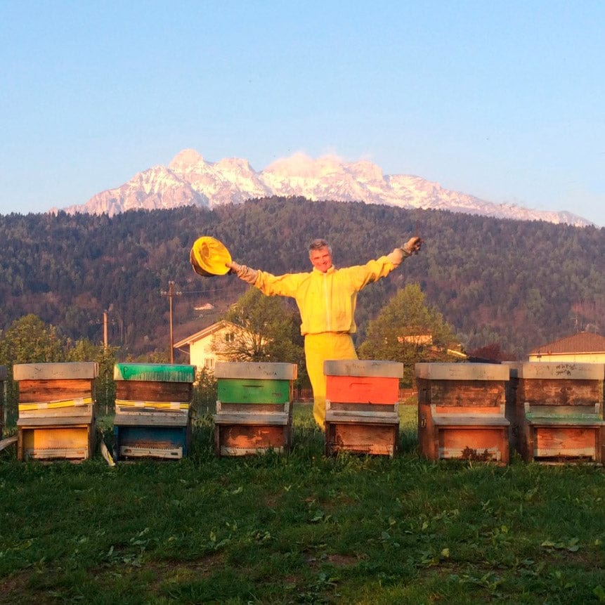 Miele di Millefiori Bio - Wildflowers Organic Honey – Dolceterra