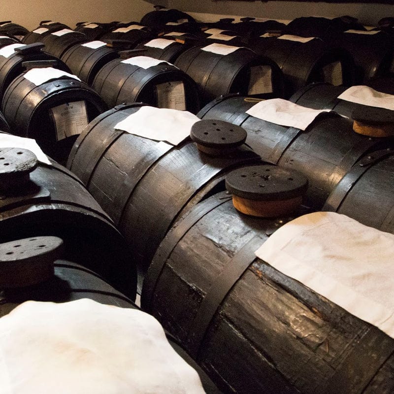 Dolceterra Balsamic Vinegar of Modena IGP Jar by Acetaia Malpighi