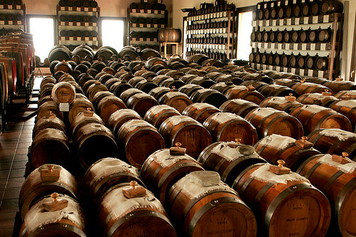 Acetaia Giuseppe Giusti -  White Condiment - Balsamic Vinegar of Modena