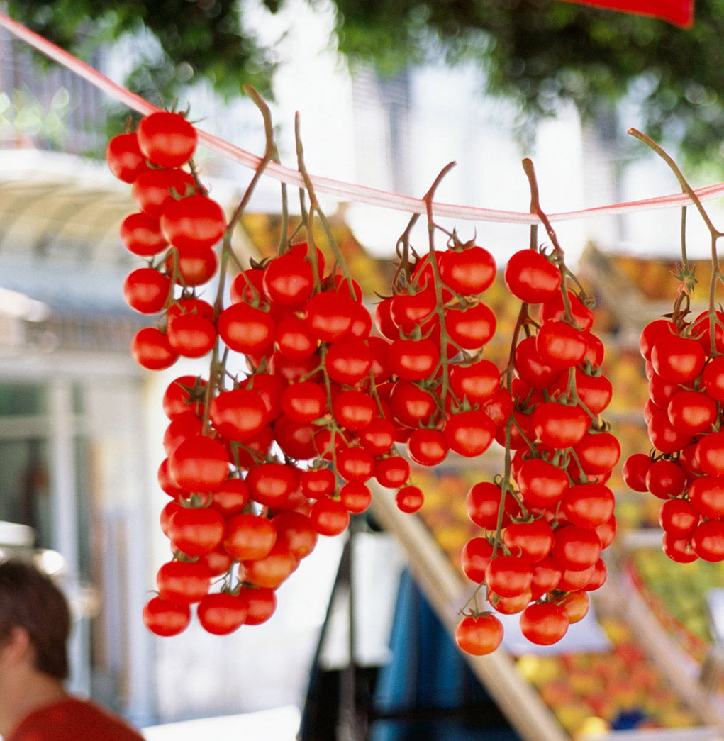 Sugo 'Sfizio Siciliano' aux olives Nocellara del Belice DOP