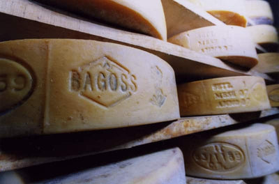 Bagòss Cheese 36 months
