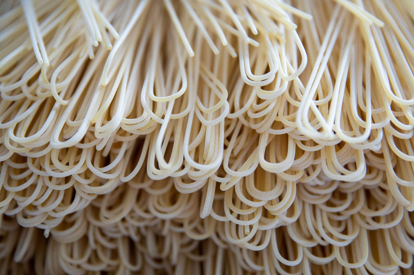 Strampelli Amatrice Spaghetti - The Real Pasta for Amatriciana