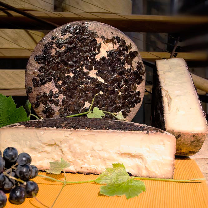 ORGANIC COW’S MILK CHEESE DRUNKEN WITH RED GRAPES – “CIOCK”