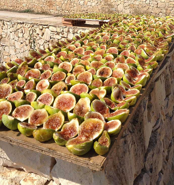 Biscuits toscans Dolceterra aux figues calabraises : une délicatesse toscane infusée aux figues