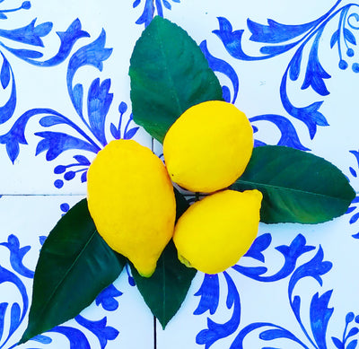 Artisan Cake with Italian Lemon