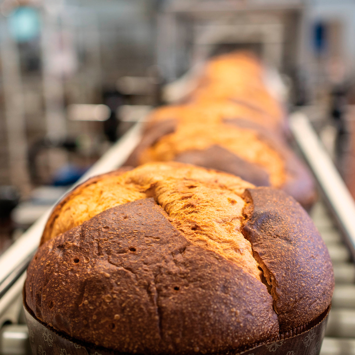 Pasticceria Scarpato - Artisan Panettone Tradizionale