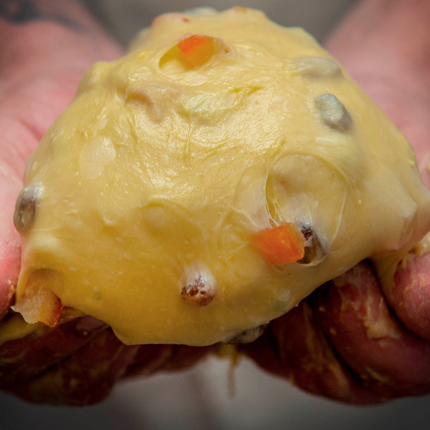 Pasticceria Scarpato - Artisan Panettone Tradizionale