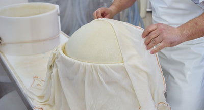 Organic Modenese White Parmigiano Reggiano 'Vacche Bianche'