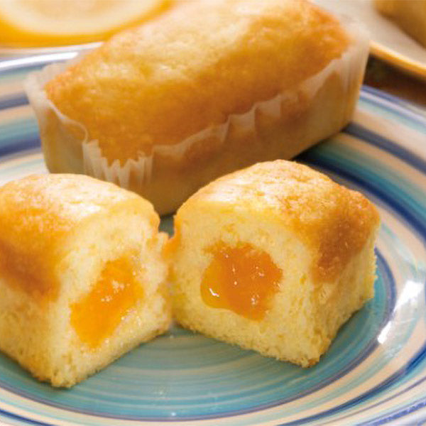 Plumcake artisanal aux abricots