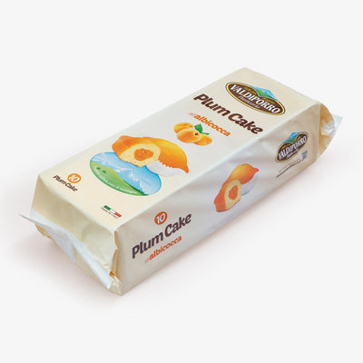 Plumcake artisanal aux abricots
