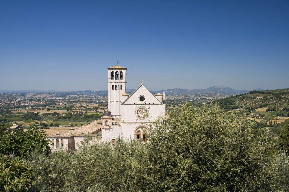 DOP Umbria MARFUGA RISERVA Colli Assisi – Spoleto