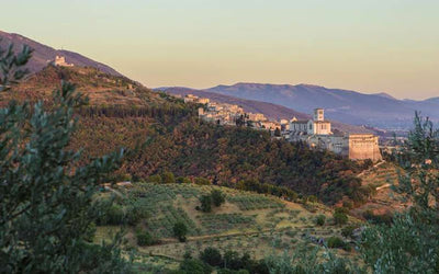 DOP Umbria MARFUGA RISERVA Colli Assisi – Spoleto